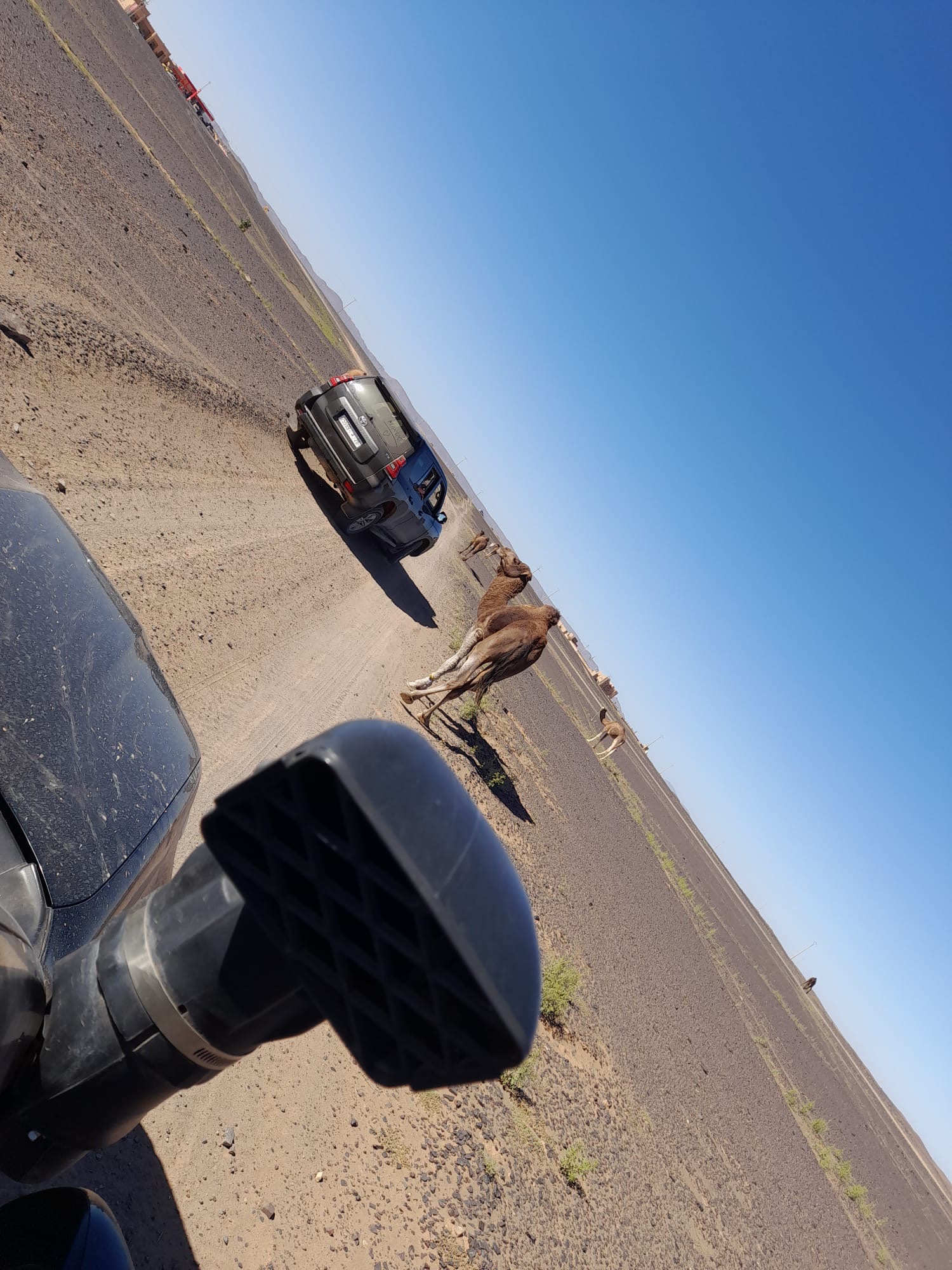 Location 4x4 Maroc route désert chameaux excursion